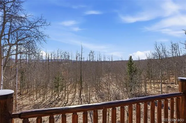 252 Iron Mountain Road Fairplay, CO 80440
