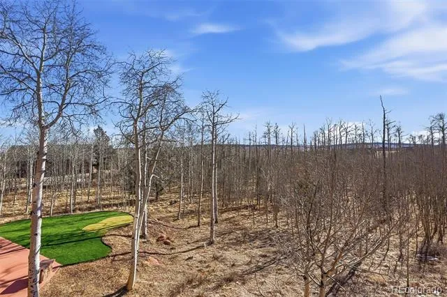 252 Iron Mountain Road Fairplay, CO 80440