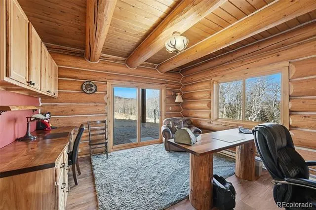 252 Iron Mountain Road Fairplay, CO 80440
