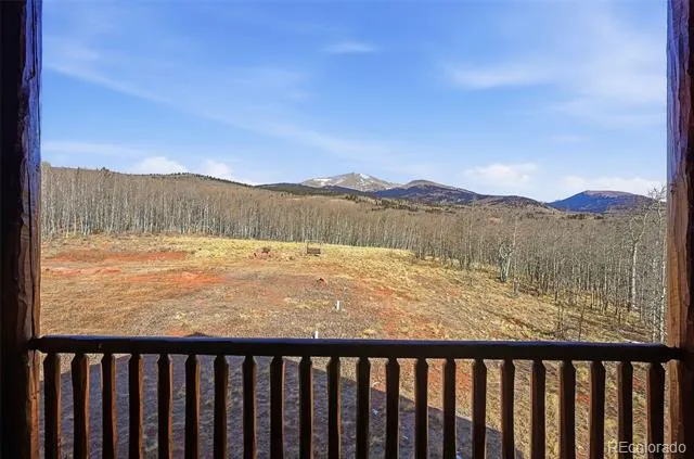 252 Iron Mountain Road Fairplay, CO 80440