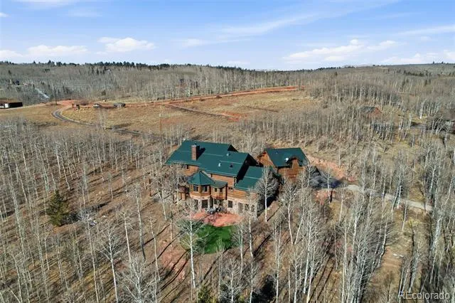 252 Iron Mountain Road Fairplay, CO 80440