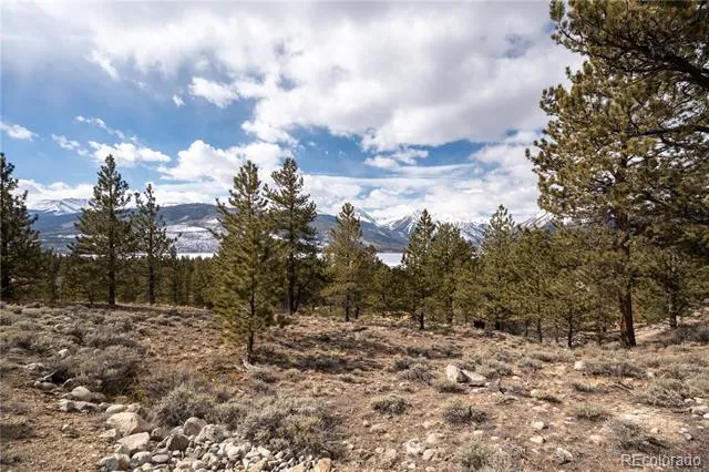 104 Northview Twin Lakes, CO 81251