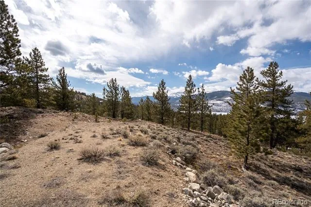 104 Northview Twin Lakes, CO 81251