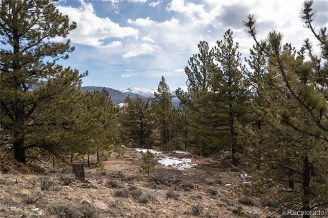 104 Northview Twin Lakes, CO 81251