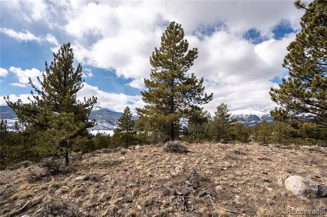 104 Northview Twin Lakes, CO 81251