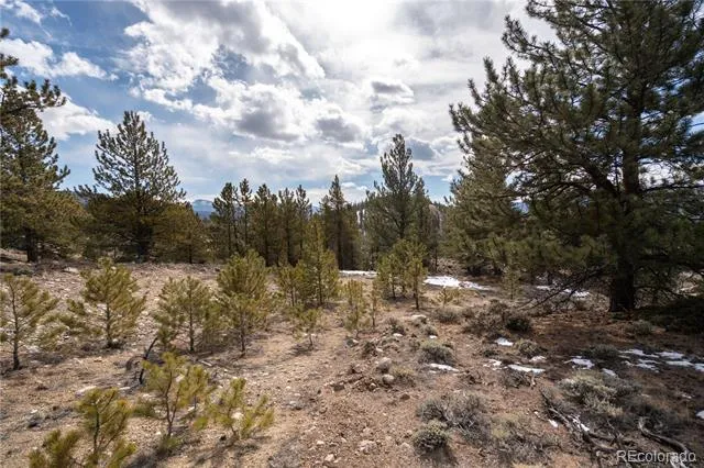 104 Northview Twin Lakes, CO 81251