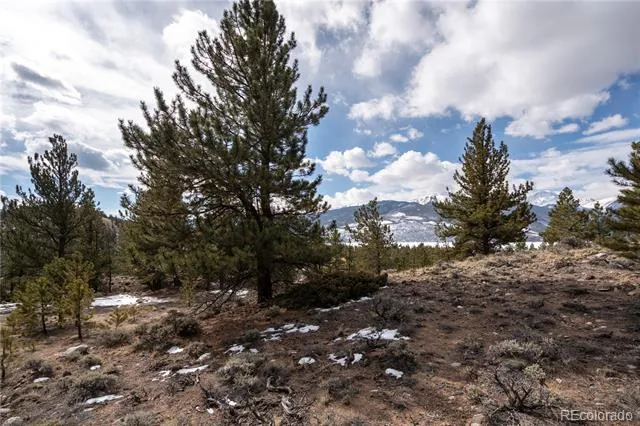 104 Northview Twin Lakes, CO 81251