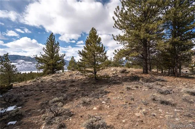 104 Northview Twin Lakes, CO 81251