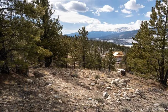 104 Northview Twin Lakes, CO 81251