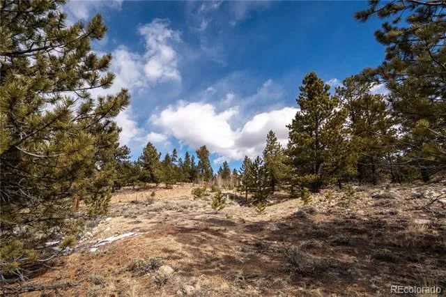 104 Northview Twin Lakes, CO 81251
