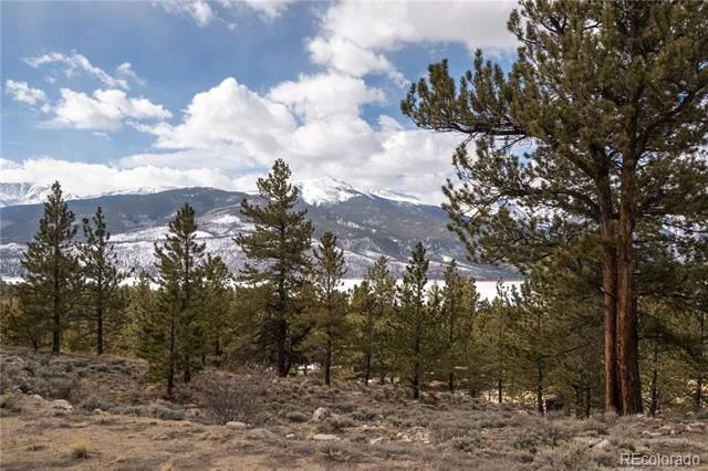 104 Northview Twin Lakes, CO 81251