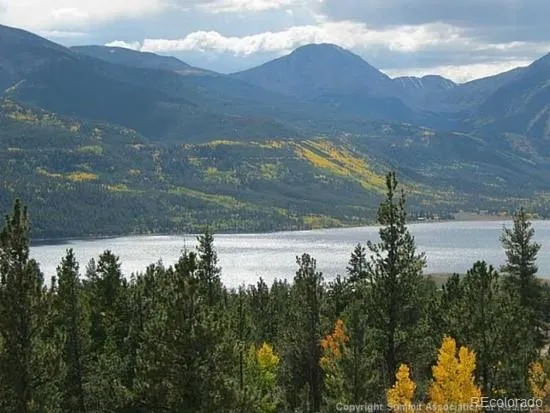 104 Northview Twin Lakes, CO 81251