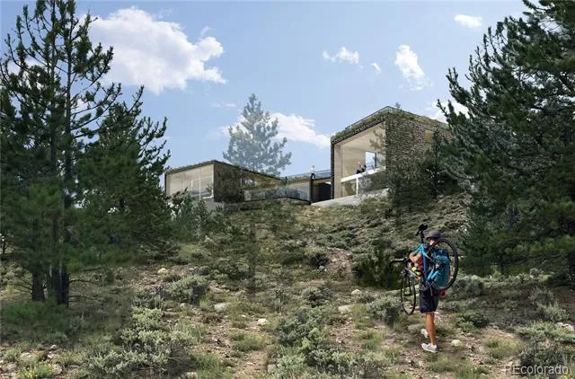 104 Northview Twin Lakes, CO 81251