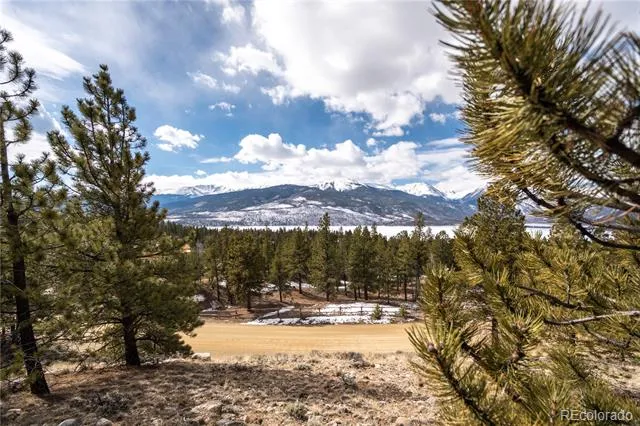 104 Northview Twin Lakes, CO 81251