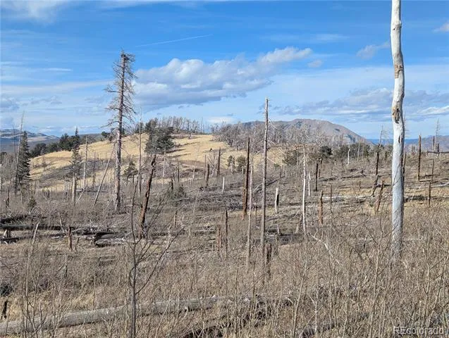 2553 Fine Place Fort Garland, CO 81133