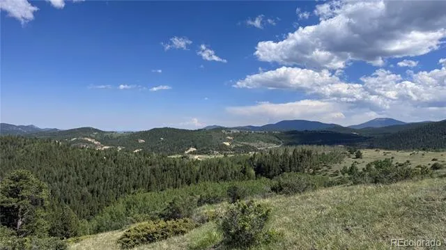 002 Mac Rock Road Central City, CO 80427