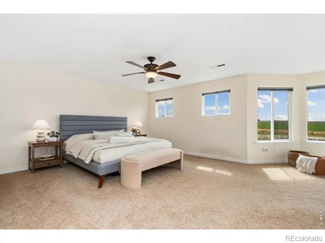 750 Falcon Court Milliken, CO 80543