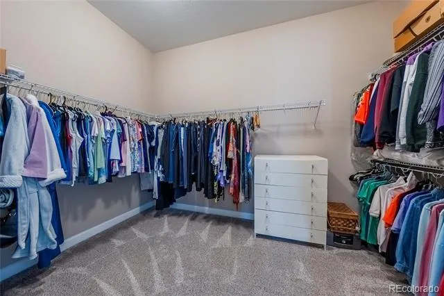 4051 Old Oaks Street Castle Rock, CO 80104