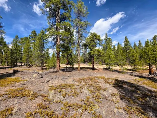 322 Fir Drive Twin Lakes, CO 81251