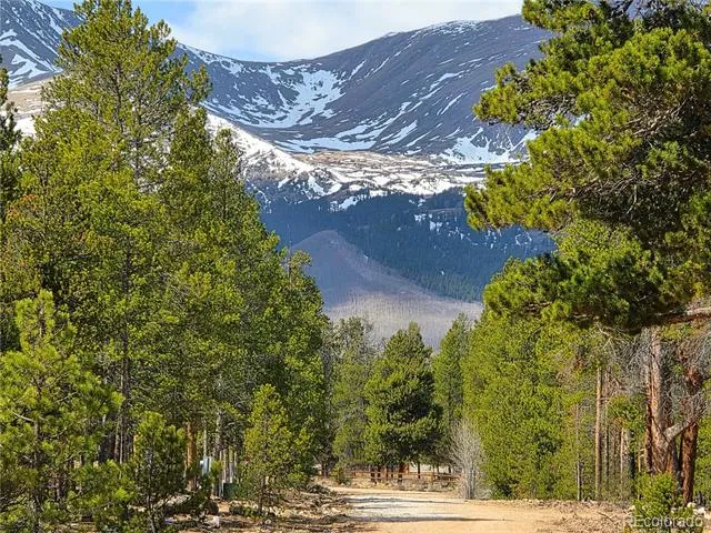 322 Fir Drive Twin Lakes, CO 81251