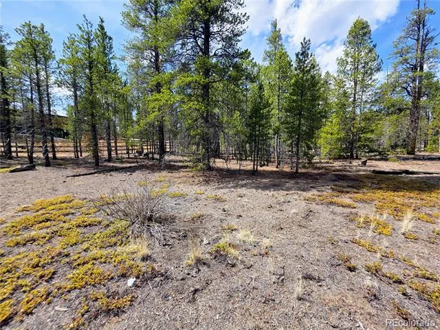 322 Fir Drive Twin Lakes, CO 81251
