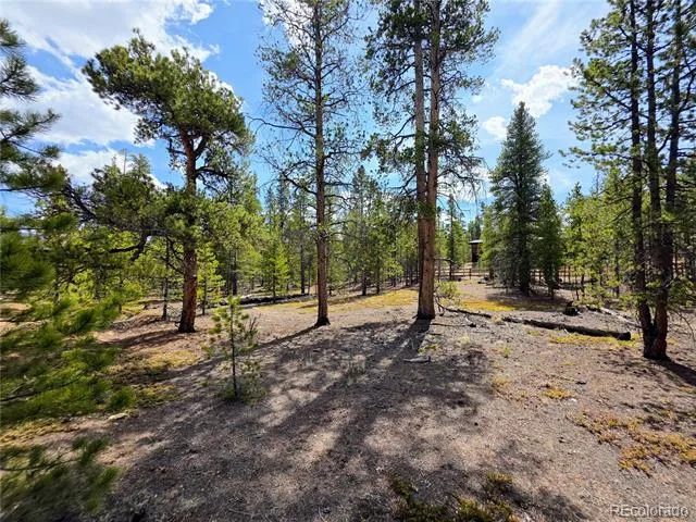 322 Fir Drive Twin Lakes, CO 81251