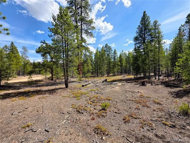 322 Fir Drive Twin Lakes, CO 81251