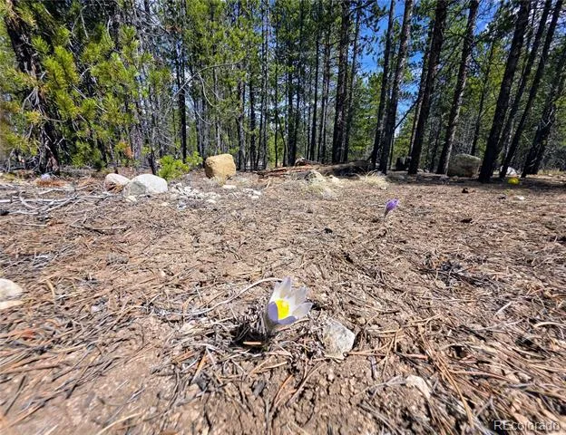 322 Fir Drive Twin Lakes, CO 81251