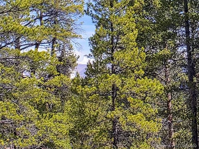 322 Fir Drive Twin Lakes, CO 81251