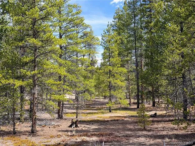 322 Fir Drive Twin Lakes, CO 81251