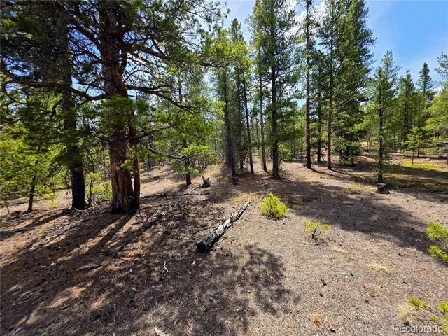 322 Fir Drive Twin Lakes, CO 81251
