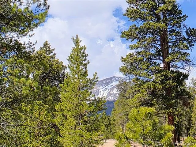 322 Fir Drive Twin Lakes, CO 81251