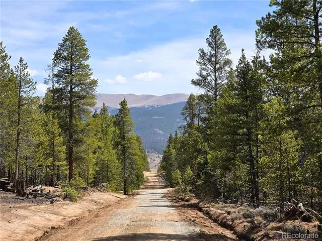 322 Fir Drive Twin Lakes, CO 81251