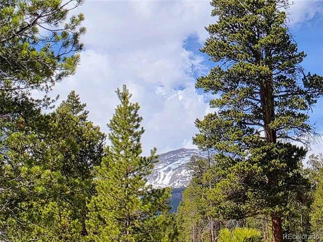 322 Fir Drive Twin Lakes, CO 81251