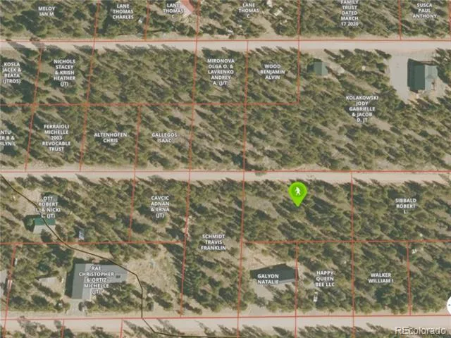322 Fir Drive Twin Lakes, CO 81251