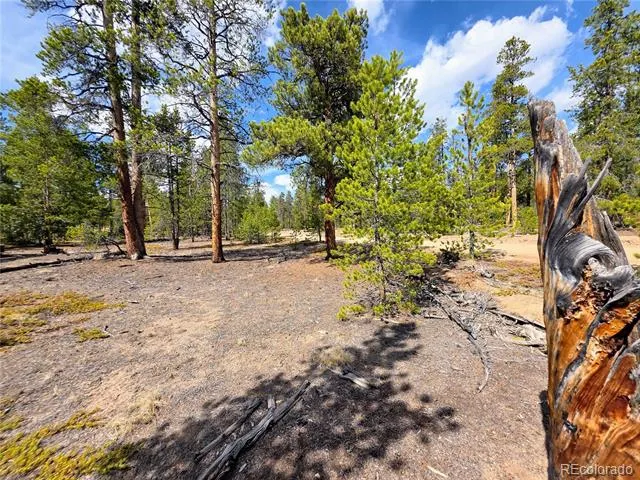 322 Fir Drive Twin Lakes, CO 81251