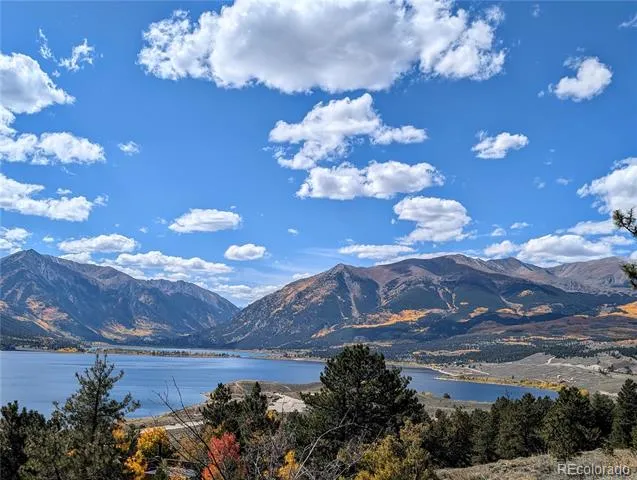 322 Fir Drive Twin Lakes, CO 81251