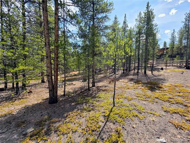 322 Fir Drive Twin Lakes, CO 81251