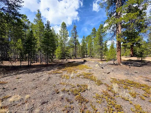 322 Fir Drive Twin Lakes, CO 81251