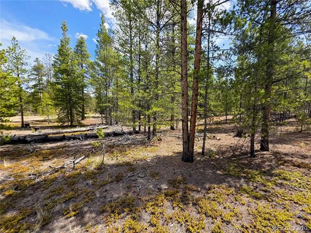 322 Fir Drive Twin Lakes, CO 81251