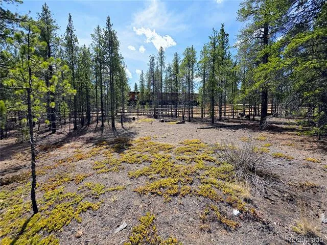 322 Fir Drive Twin Lakes, CO 81251