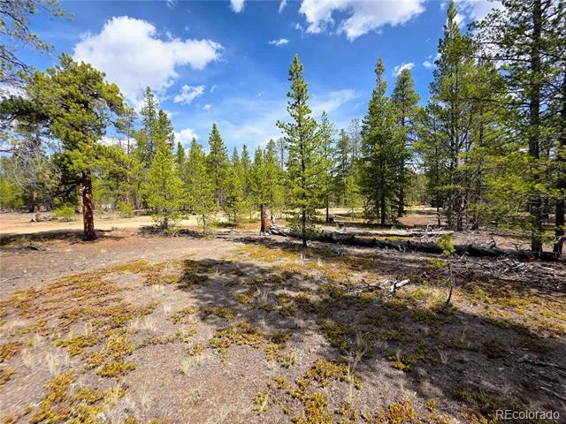 322 Fir Drive Twin Lakes, CO 81251