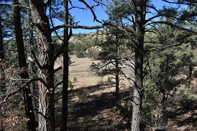 268-269 RANCHO LA GARITA FILING NO-8, Weston, CO 81091