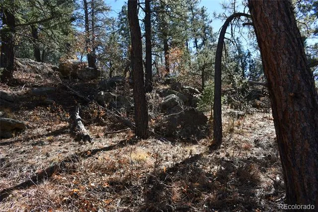 268-269 RANCHO LA GARITA FILING NO-8, Weston, CO 81091