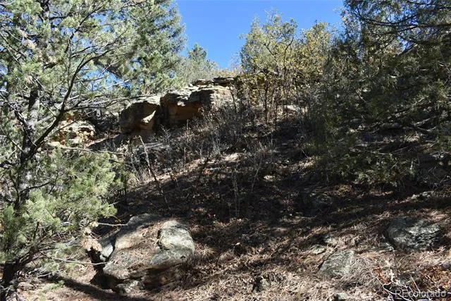 268-269 RANCHO LA GARITA FILING NO-8, Weston, CO 81091