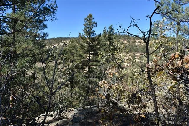268-269 RANCHO LA GARITA FILING NO-8, Weston, CO 81091