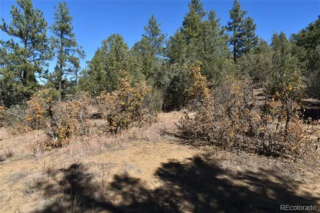 268-269 RANCHO LA GARITA FILING NO-8, Weston, CO 81091