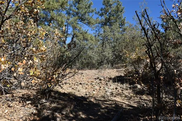 268-269 RANCHO LA GARITA FILING NO-8, Weston, CO 81091