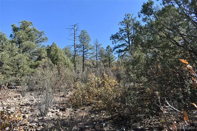 268-269 RANCHO LA GARITA FILING NO-8, Weston, CO 81091