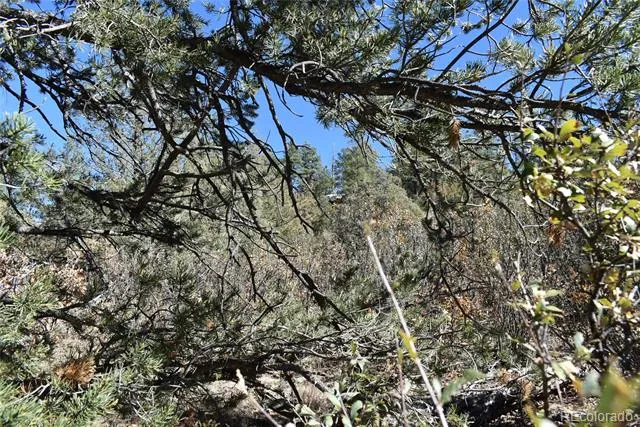 268-269 RANCHO LA GARITA FILING NO-8, Weston, CO 81091